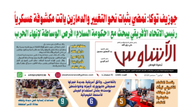 🗞️العدد (265) | صحيفة الأشاوس