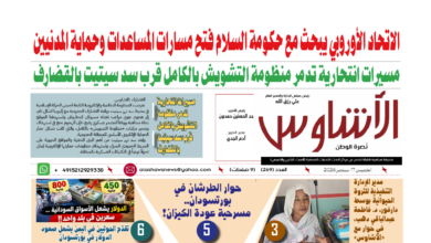 🗞️العدد (269) | صحيفة الأشاوس