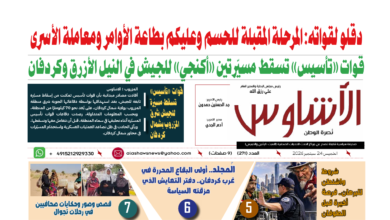 🗞️العدد (272) | صحيفة الأشاوس