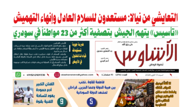 🗞️العدد (276) | صحيفة الأشاوس