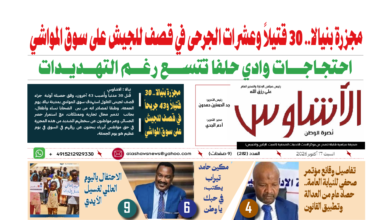 🗞️العدد (282) | صحيفة الأشاوس